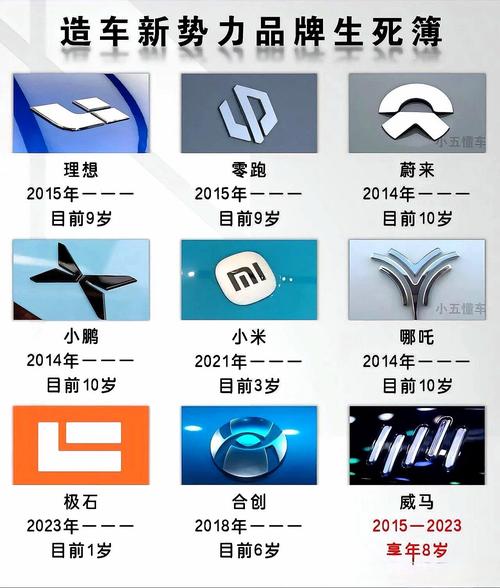 新能源汽车第一名,新能源汽车第一名是什么牌子