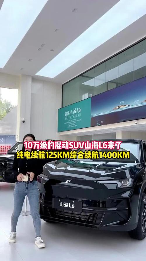 新能源最新款 新能源最新款山海L2视频试驾